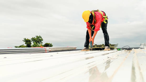 Best Green or Eco-Friendly Roofing Solutions  in Tigerville, SC